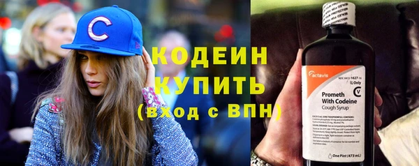 стафф Вяземский