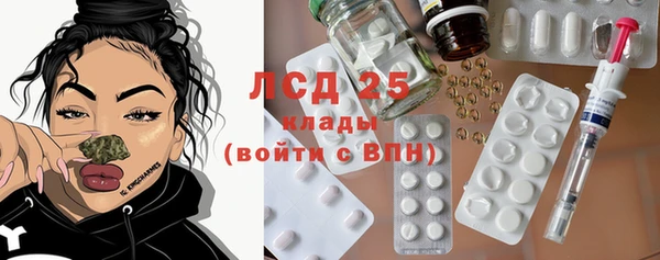 стафф Вяземский