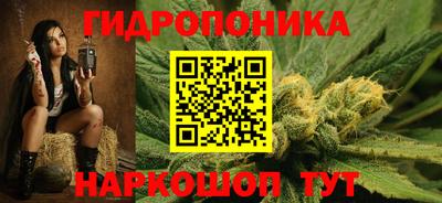 ECSTASY Гатчина