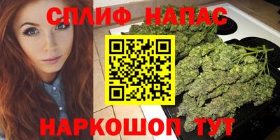 стафф Кандалакша