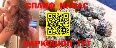 стафф Кандалакша