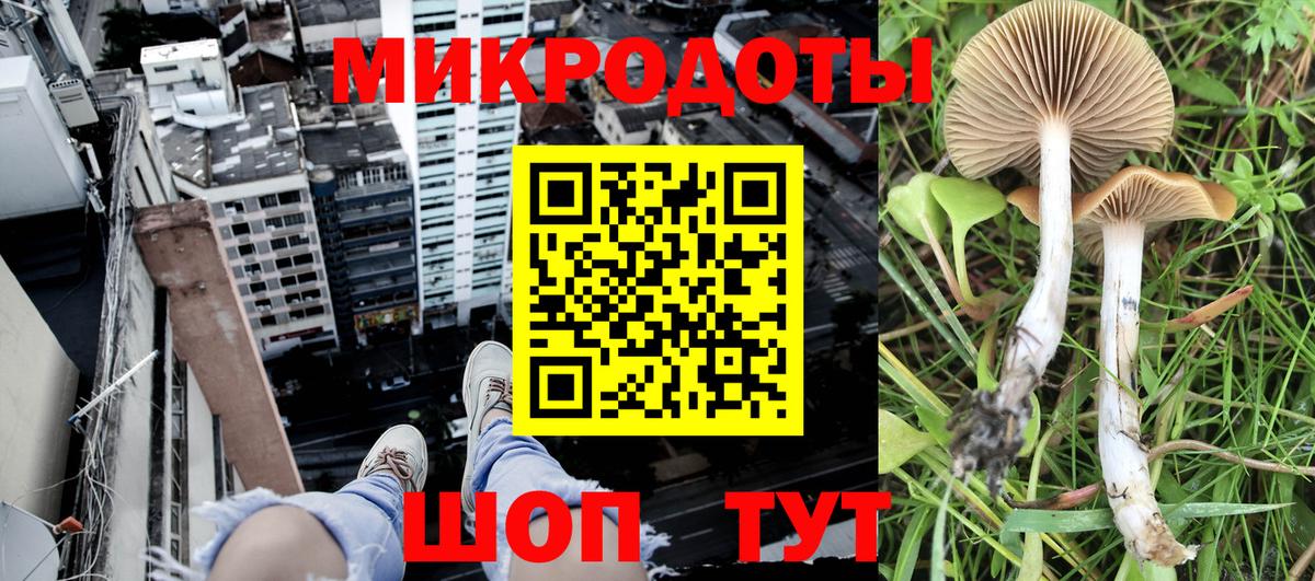 Галлюциногенные грибы MAGIC MUSHROOMS  цены наркотик  Дальнереченск  Псилоцибиновые грибы мицелий  Вход с VPN 