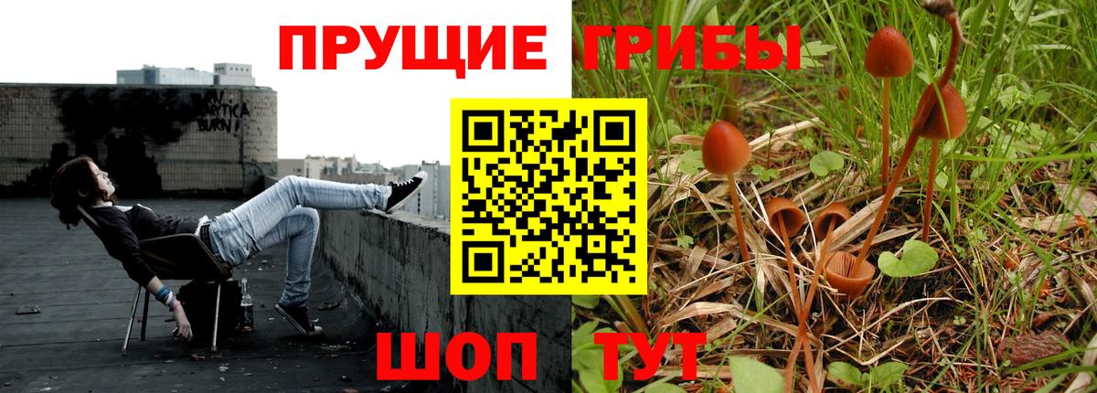 Гашиш Дальнереченск